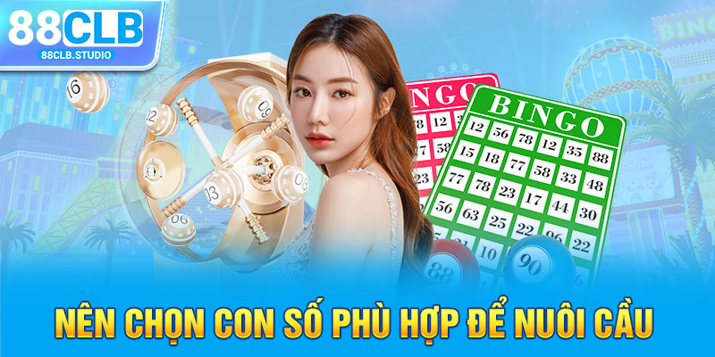 Nên chọn con số phù hợp để nuôi cầu