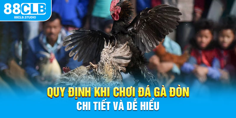 Quy định khi chơi đá gà đòn chi tiết và dễ hiểu